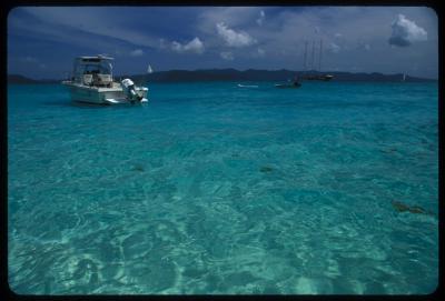 v3/87/425687/3/48377168.bvi7.jpg