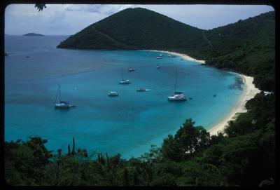 v3/87/425687/3/48377241.bvi3.jpg