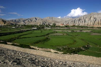 Green fields of Charang