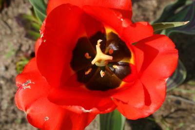 v3/87/472187/3/45173934.spring_004.jpg