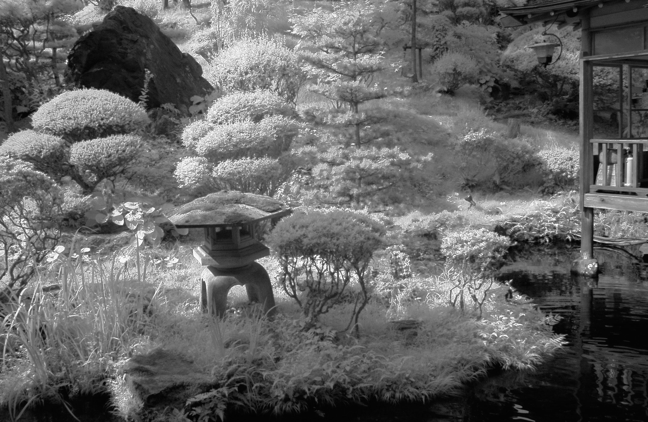 Mukaitaki Garden Infrared