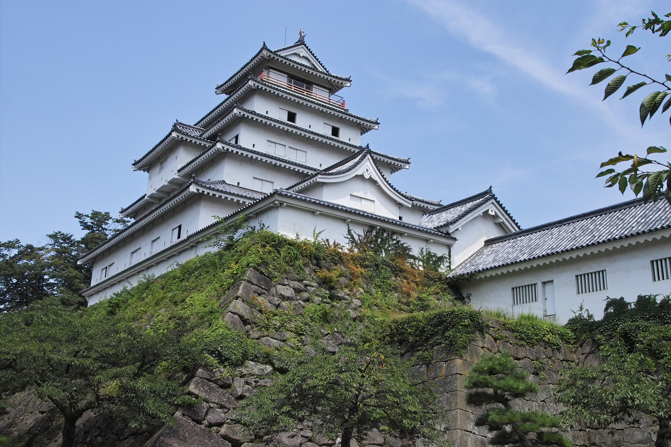 IMG06236tsurugajo b.jpg