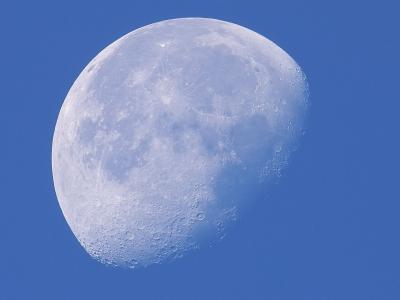 IMG05562morning moon s c.jpg