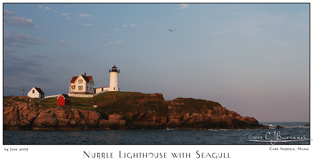 04Jun05 Nubble Lighthouse with Seagull