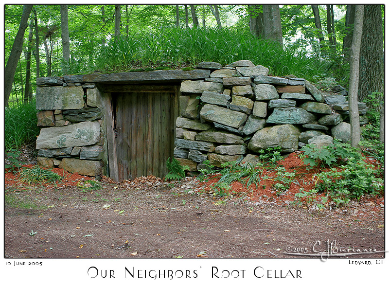 10Jun05 Root Cellar