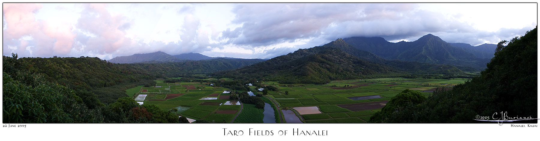 01July05 Hanalei Taro Fields Panoramic