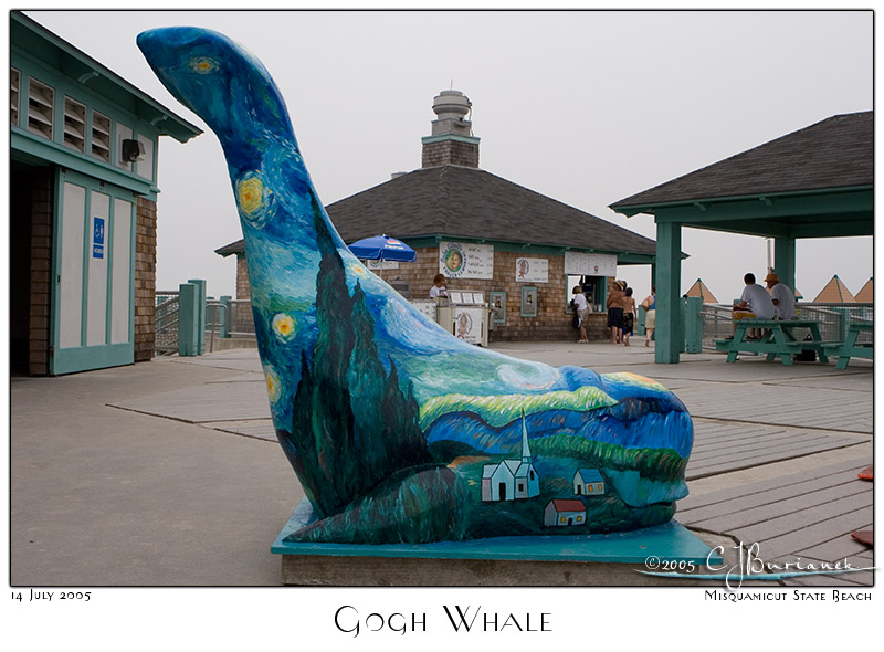 Gogh Whale - 3247