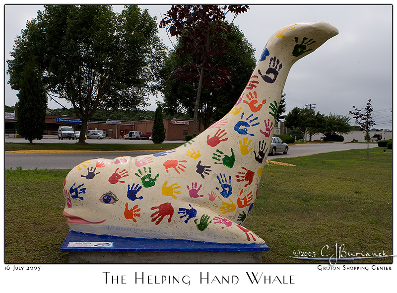 The Helping Hand Whale - 3431