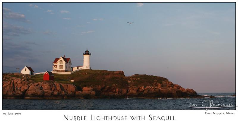 04Jun05 Nubble Lighthouse with Seagull