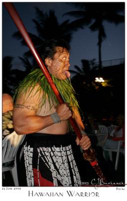 23Jun05alt Hawaiian Warrior