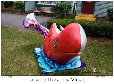 Between Heaven Whale - 3139