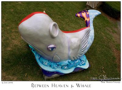 Between Heaven Whale - 3140
