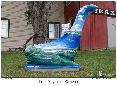 The Mystic Whale - 3132
