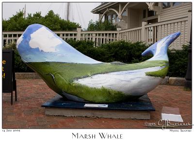Marsh Whale - 3148