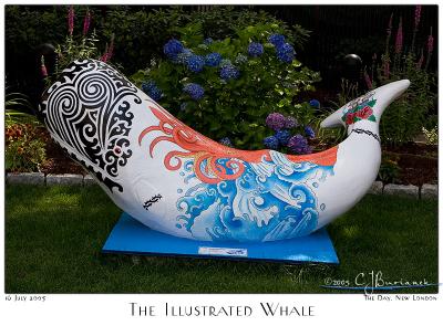 The Illustrated Whale - 3320