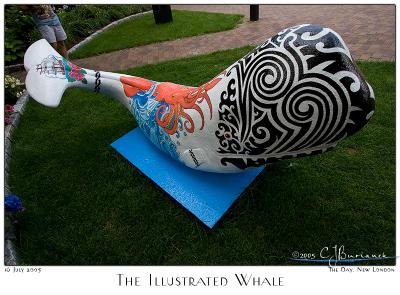 The Illustrated Whale - 3326