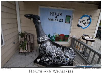 Health and Whaleness - 3406