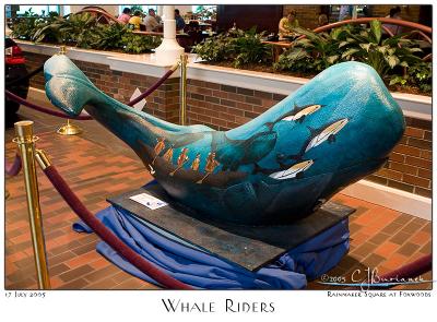 Whale Riders - 3528