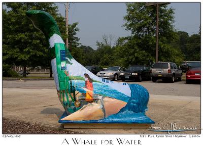 A Whale for Water - 4494