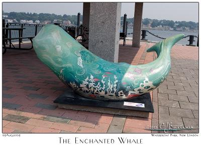 The Enchanted Whale - 4530