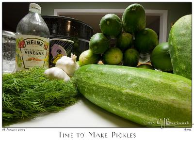 v3/87/504287/3/47888987.18Aug05TimetoMakePickles4977.jpg
