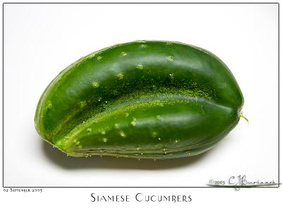 02Sep05 Siamese Cucumbers - 5459