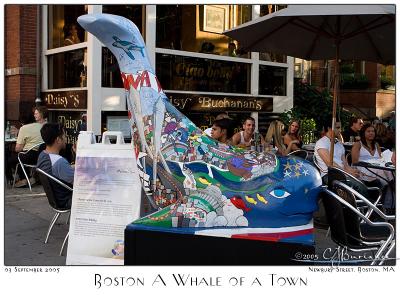 Boston A Whale of a Town - 5580