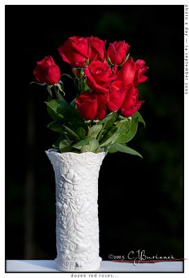 14Sep05 Dozen Red Roses - 5748