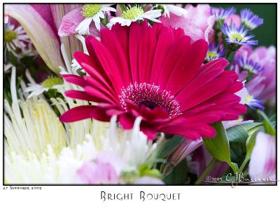 27Sep05 Bright Bouquet - 6002