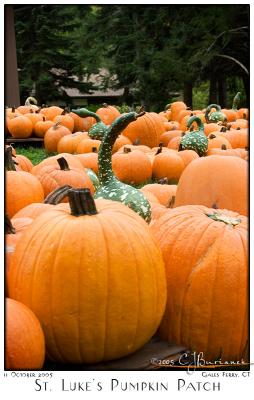 11Oct05 Pumpkin Patch - 6219