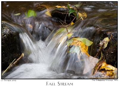 17Oct05 Fall Stream - 6352