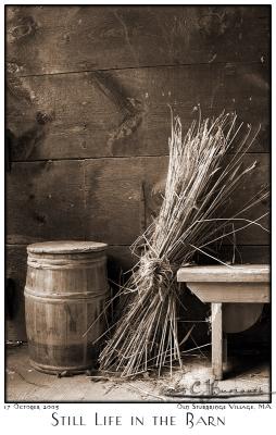 17Oct05 Still Life in the Barn Sepia - 6474