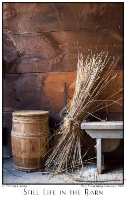 v3/87/504287/3/50932181.17Oct05StillLifeintheBarn6474.jpg