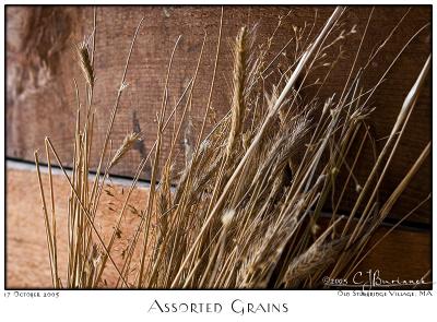 v3/87/504287/3/50932183.17Oct05AssortedGrains6483.jpg