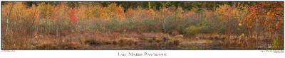 21Oct05 Fall Marsh Panoramic 6687-6693