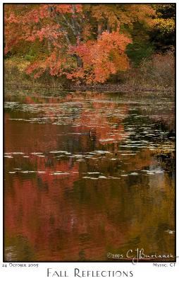 24Oct05 Fall Reflections - 6902