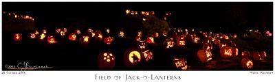 28Oct05 Field of Jack O Lanterns 6982-6985