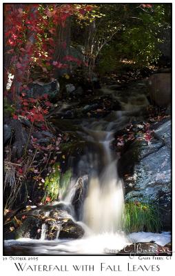 30Oct05 Waterfall with Fall Leaves - 7039