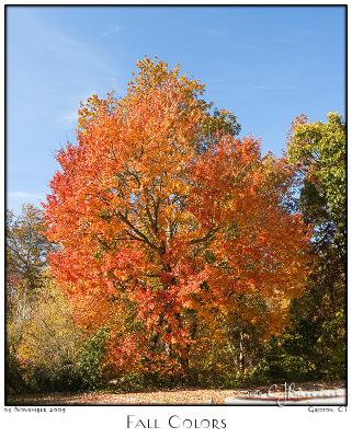 03Nov05 Fall Colors 7100 + 7102