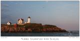 04Jun05 Nubble Lighthouse with Seagull