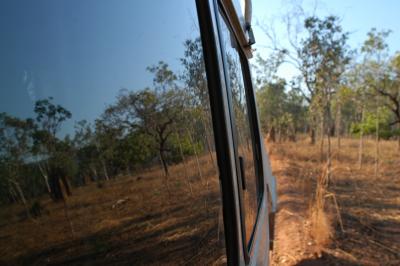 reflections of kakadu