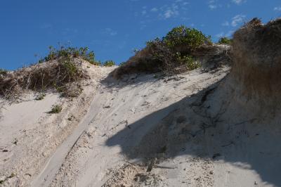 sand boarding tracks