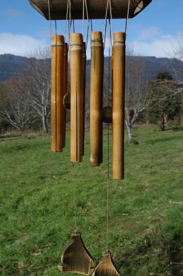 wind chimes in tazzie