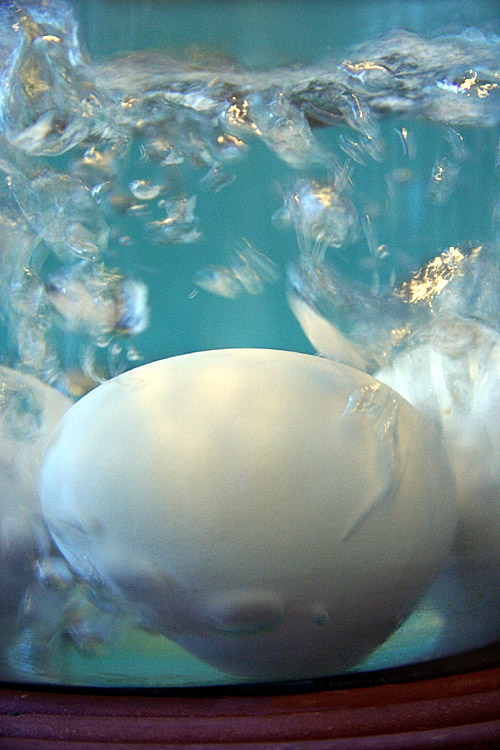 Hard-boiled 2