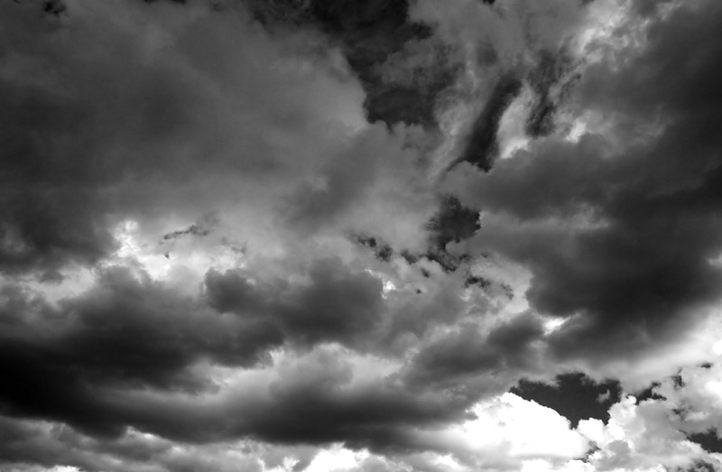 CRW_7945-01.jpg