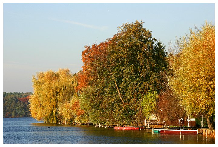 At our lake II