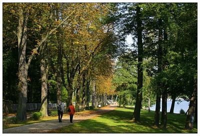 Autuum Walk