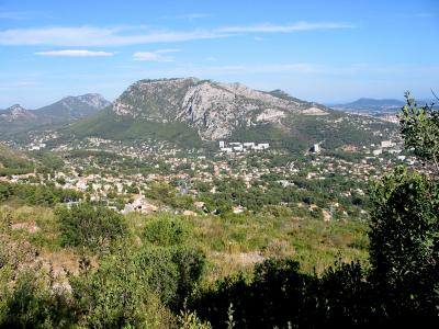 160-6042_IMG.JPG