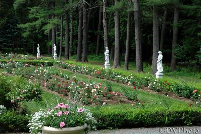 GardenWatchers.jpg