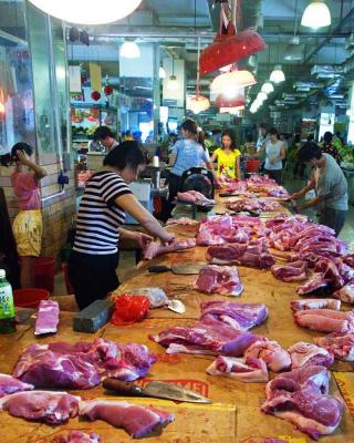 Shekou Shenzen & Quangzhou